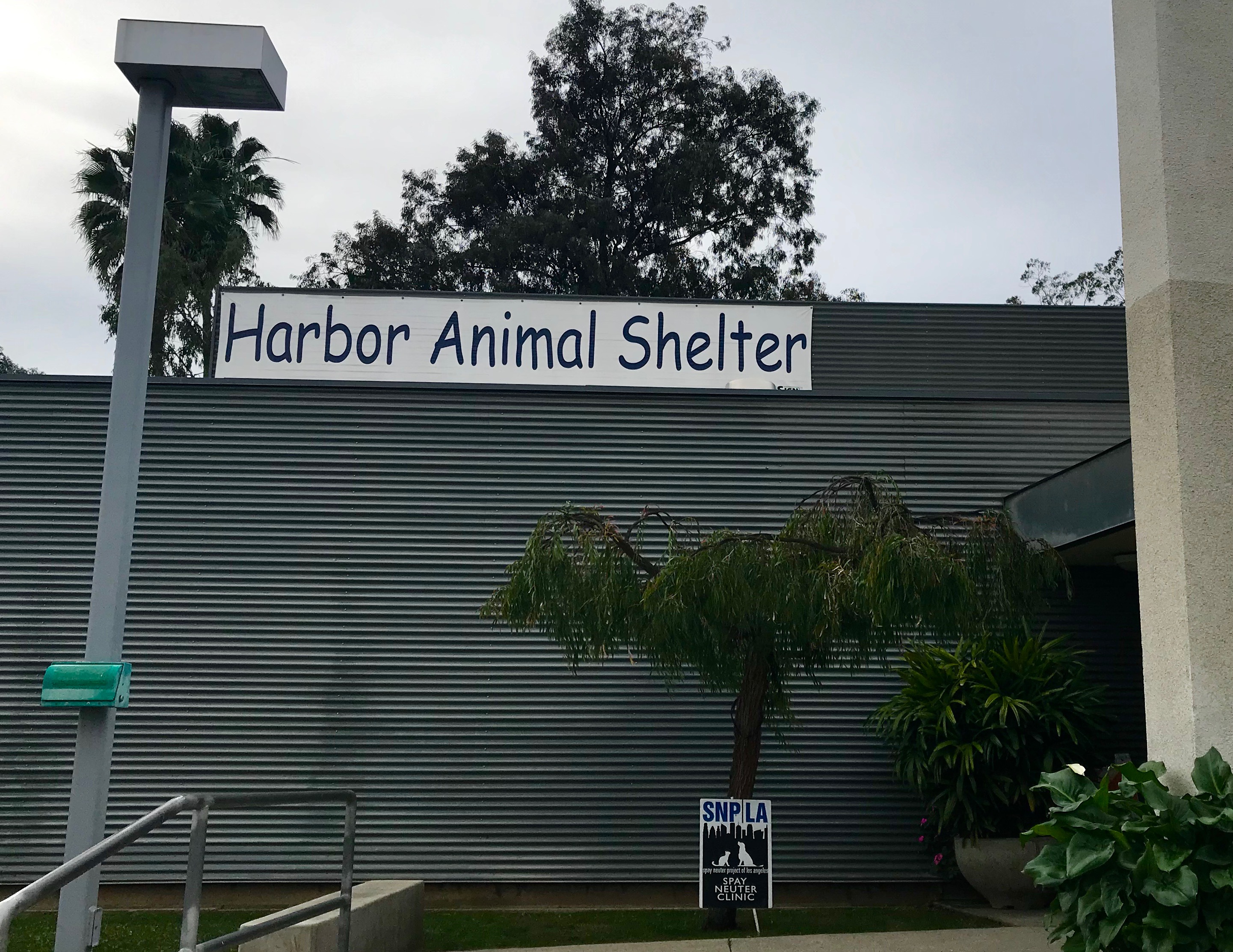 los angeles west valley animal shelter